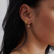 Iris Fan Gold Huggie Hoop Earrings